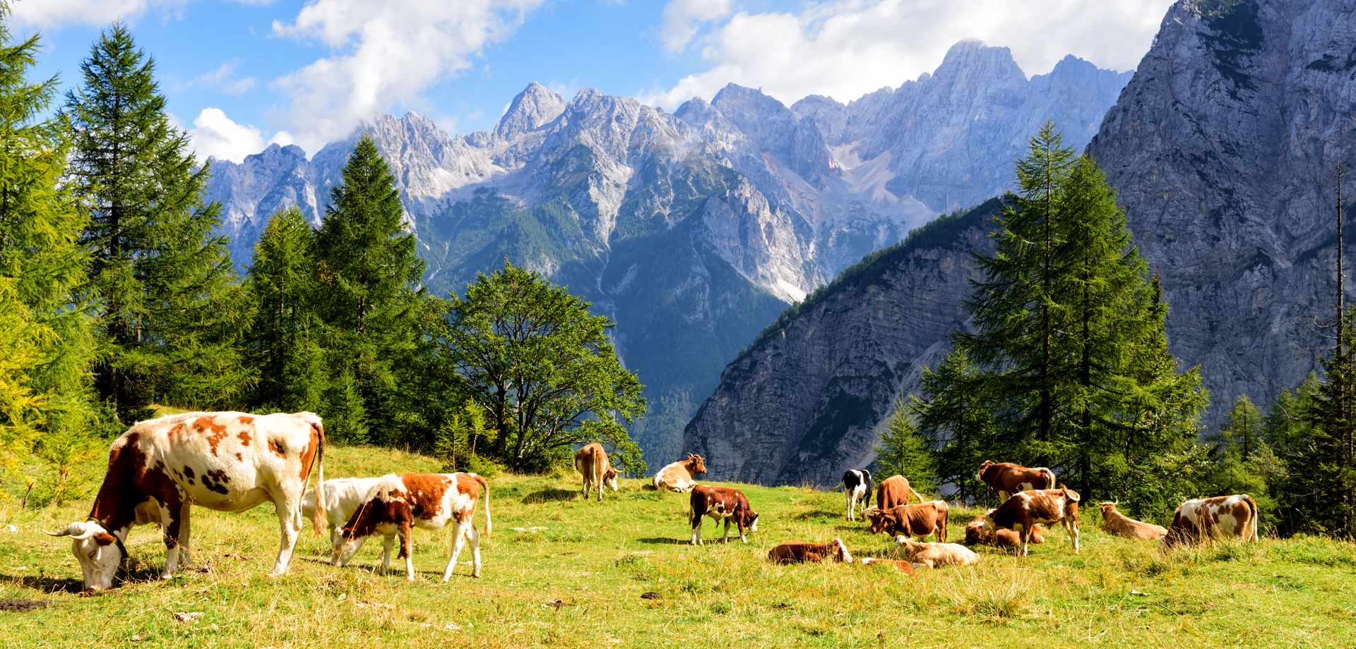 Passo Vršič
